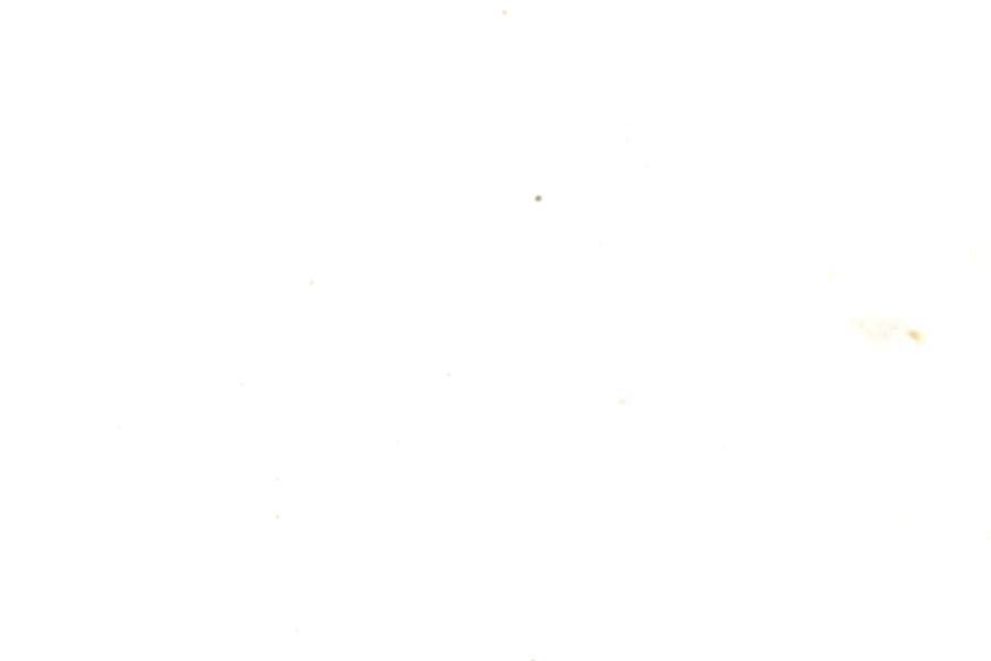 Image 90